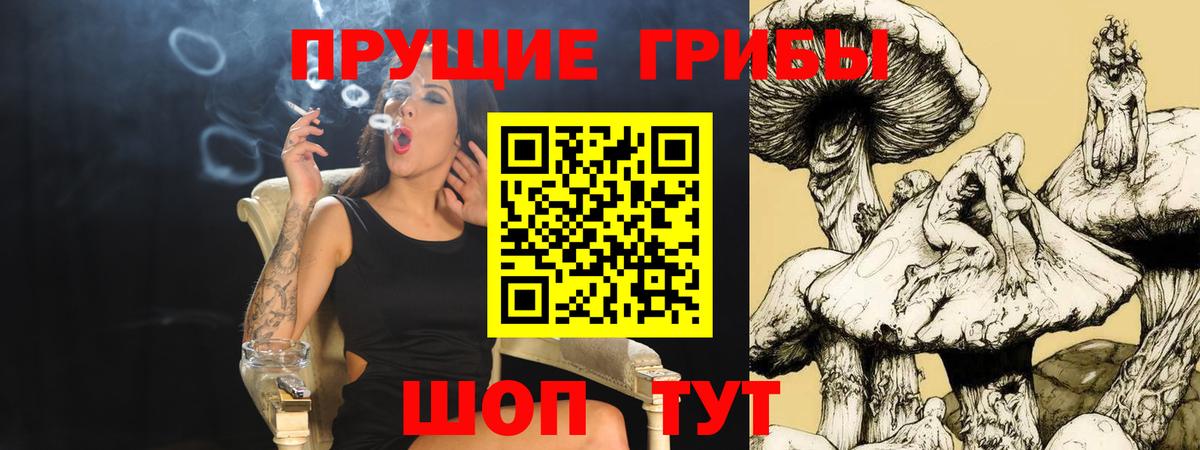 Псилоцибиновые грибы GOLDEN TEACHER Дмитров